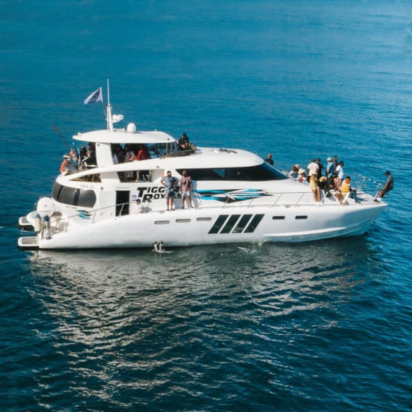 luxury yacht charter 3